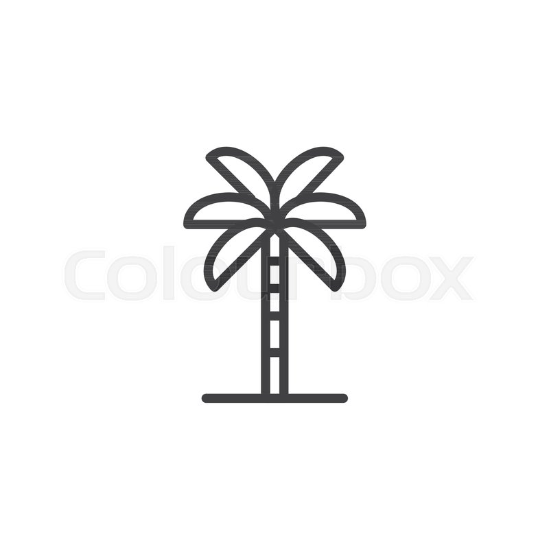800x800 Palm Tree Outline Icon Linear Style Stock Vector Colourbox