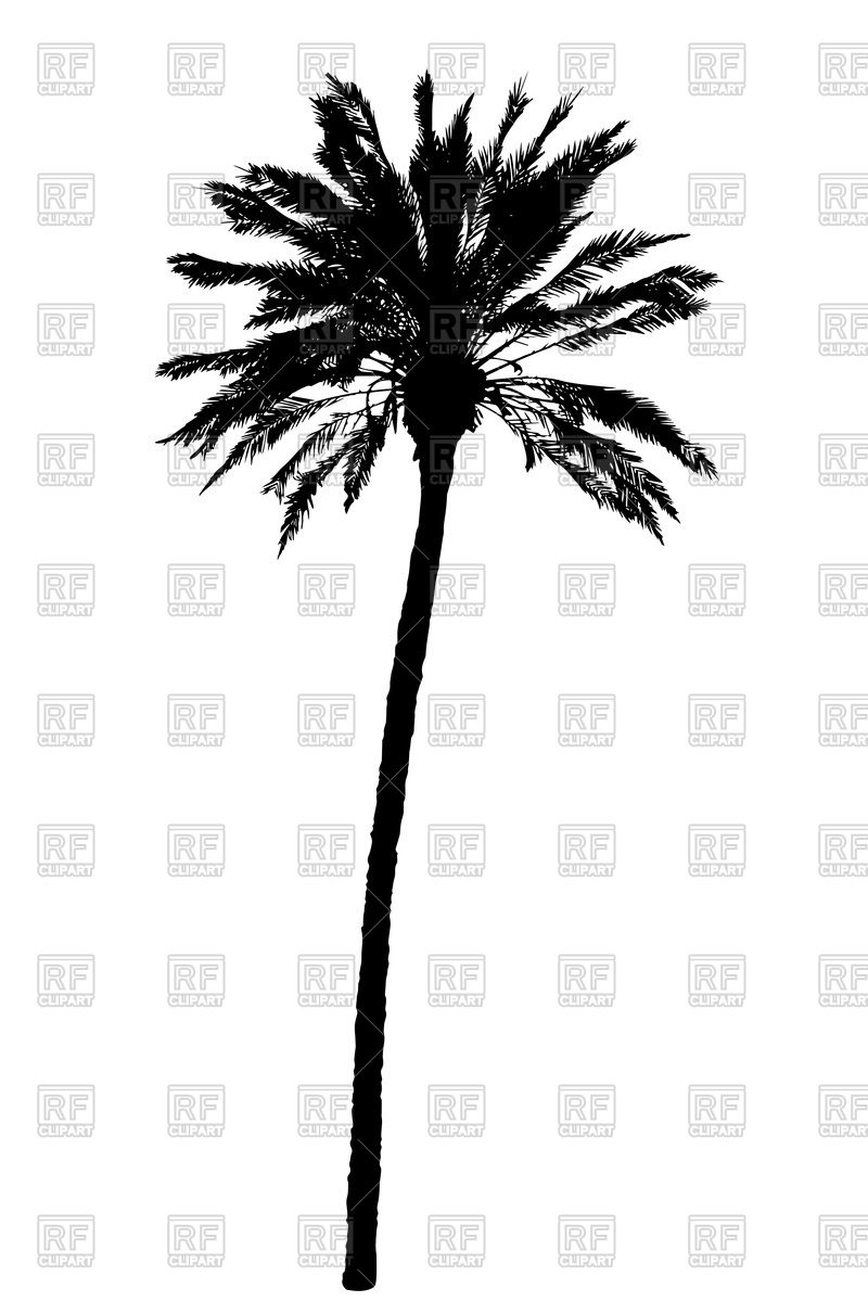 800x1200 Palm Tree Silhouette Vector Image Of Plants And Animals