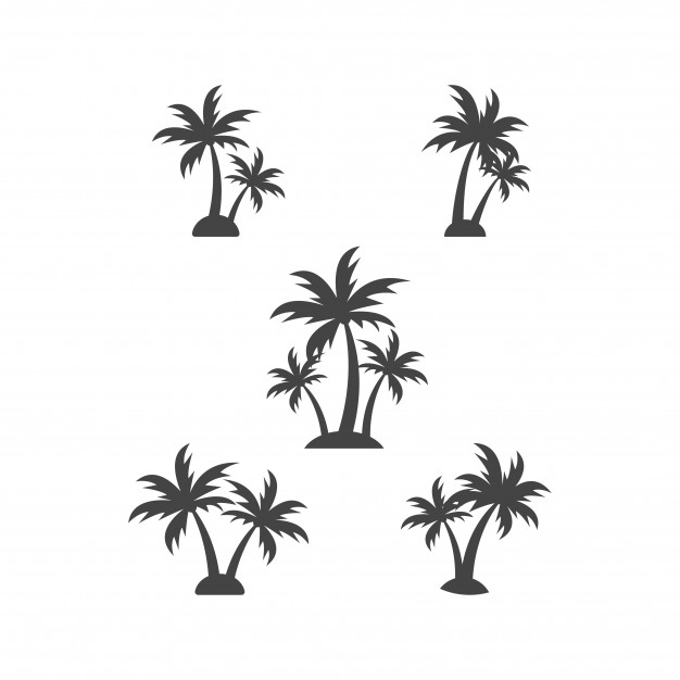 626x626 Palm Tree Silhouette Graphic Design Element Template Vector
