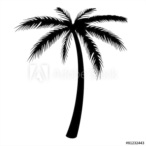 500x500 Palm Tree Silhouette Outline Vector Motif