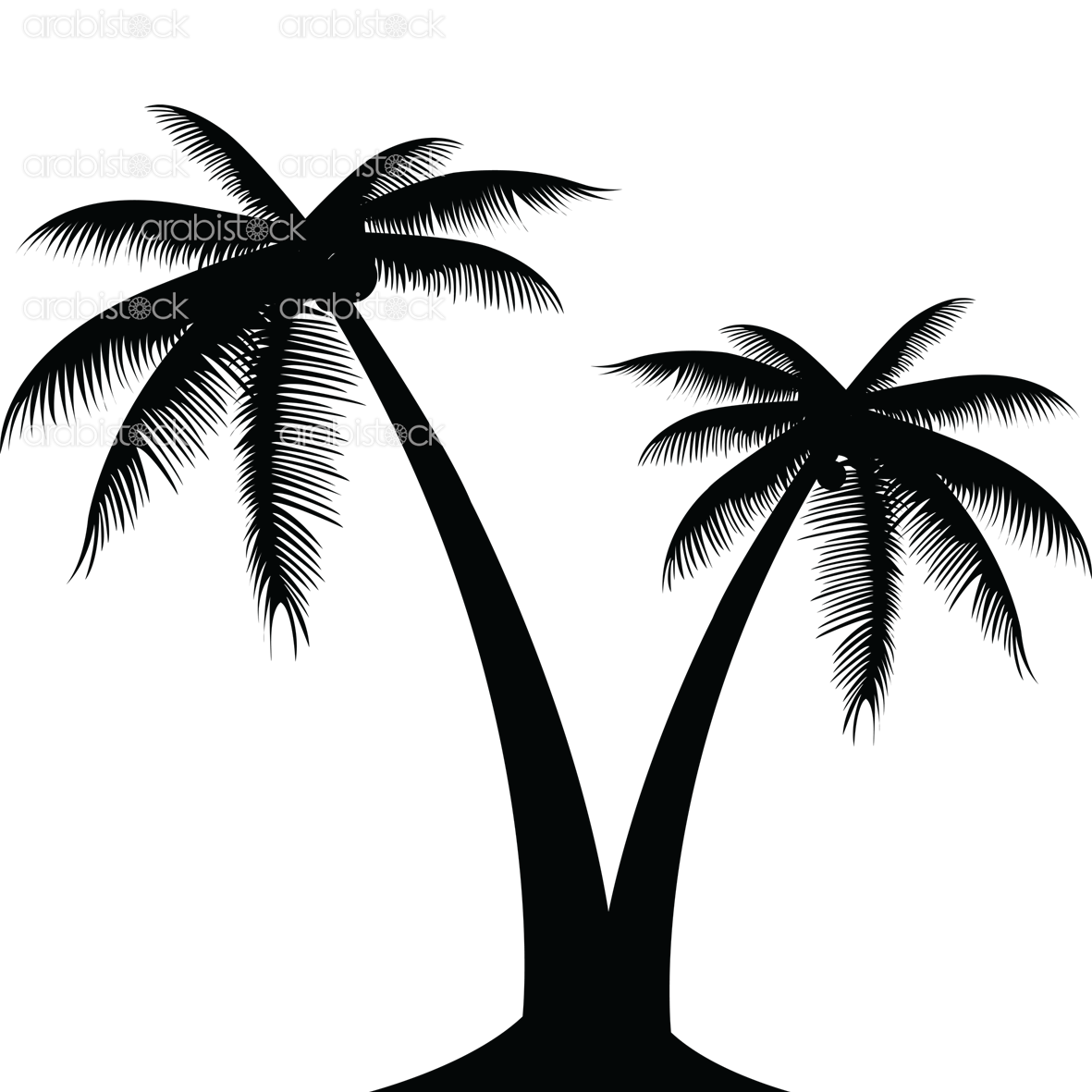 Palm Tree Outline Vector at Vectorified.com | Collection of Palm Tree ...