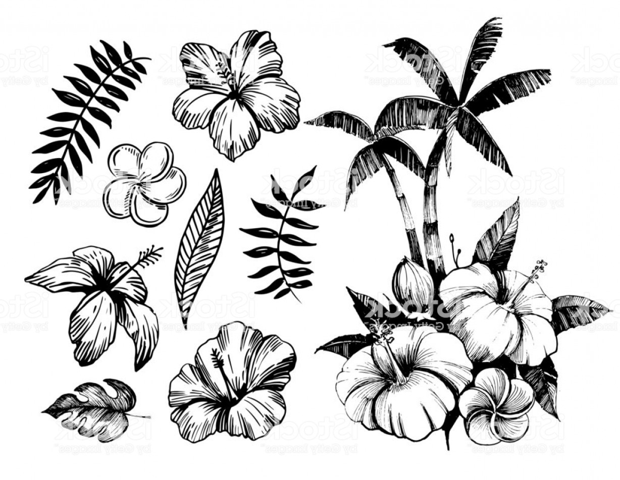 1228x951 Tropical Flowers And Palm Trees Outline Vector Set Gm Catchsplace