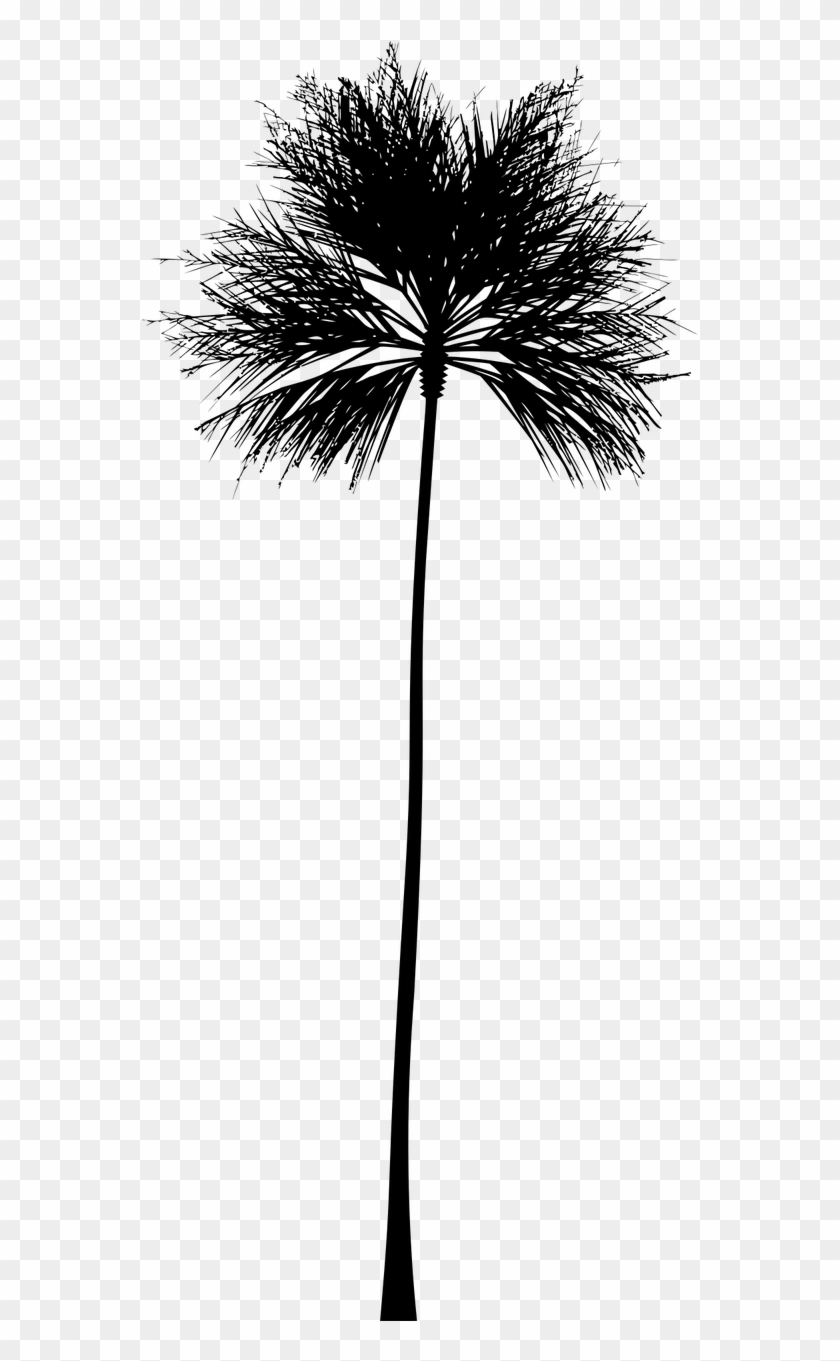 840x1361 Tropical Vector Black And White