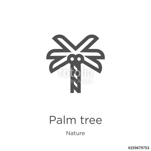 500x500 Palm Tree Icon Vector From Nature Collection Thin Line Palm Tree