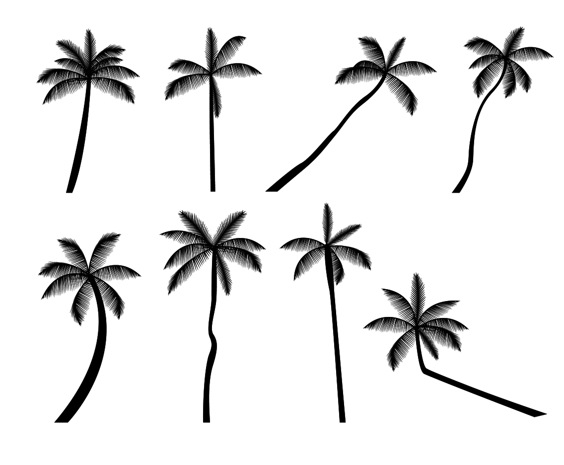 1136x936 Free Palm Tree Silhouette Vector Vector Art Graphics
