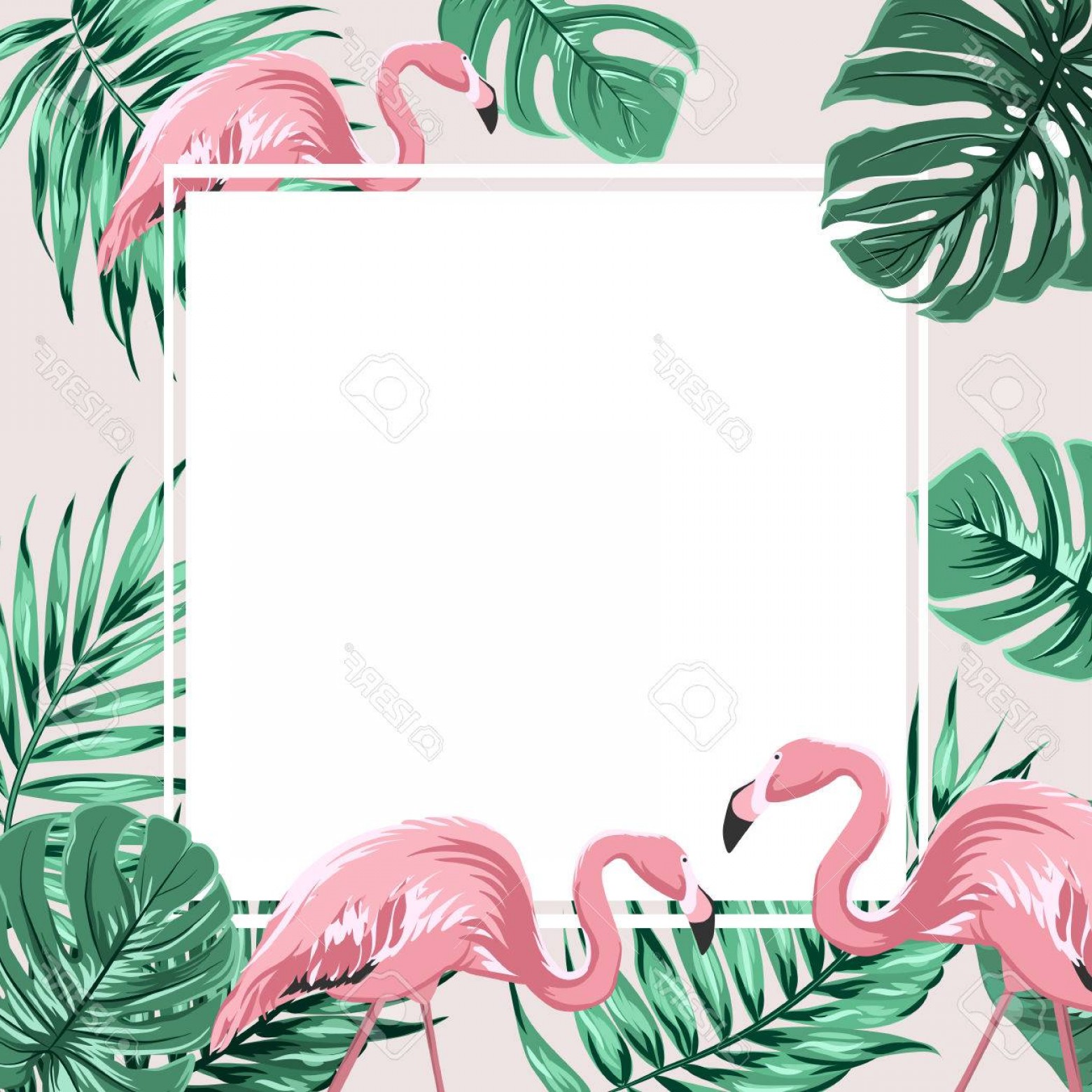 Photostock Vector Exotic Tropical Border Frame Template 1560x1560 Photostock Vector Exotic Tropical Border Frame Template