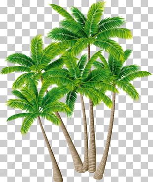 310x370 Coconut Tree Vector Png Images, Coconut Tree Vector Clipart Free