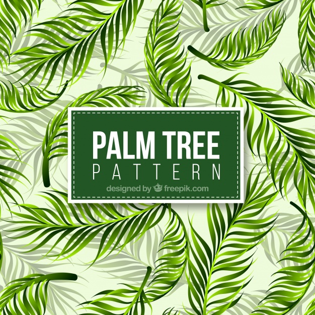Realistic Palm Tree Pattern Free Vector 626x626 Realistic Palm Tree Pattern Free Vector