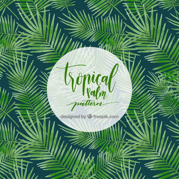 Tropical Palm Tree Pattern Vector Free Download 626x626 Tropical Palm Tree Pattern Vector Free Download