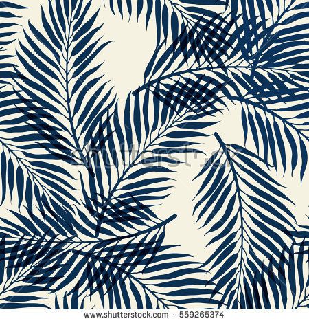 Dark Palm Tree Leaves On White Background Tropical Palm Leaves 450x470 Dark Palm Tree Leaves On White Background Tropical Palm Leaves