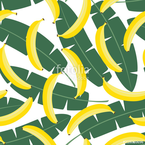 Yellow Pastel Banana On Green Leaves Of Banana Palm Tree 500x500 Yellow Pastel Banana On Green Leaves Of Banana Palm Tree