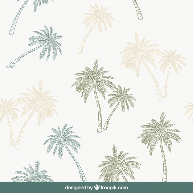 Decorative Pattern With Hand Drawn Palm Trees Vector Free Download 626x626 Decorative Pattern With Hand Drawn Palm Trees Vector Free Download