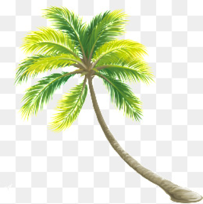 399x401 Download Free Png Palm Tree Png, Vectors, And Clipart
