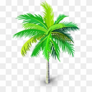 320x320 Free Palm Trees Png Images Palm Trees Transparent Background