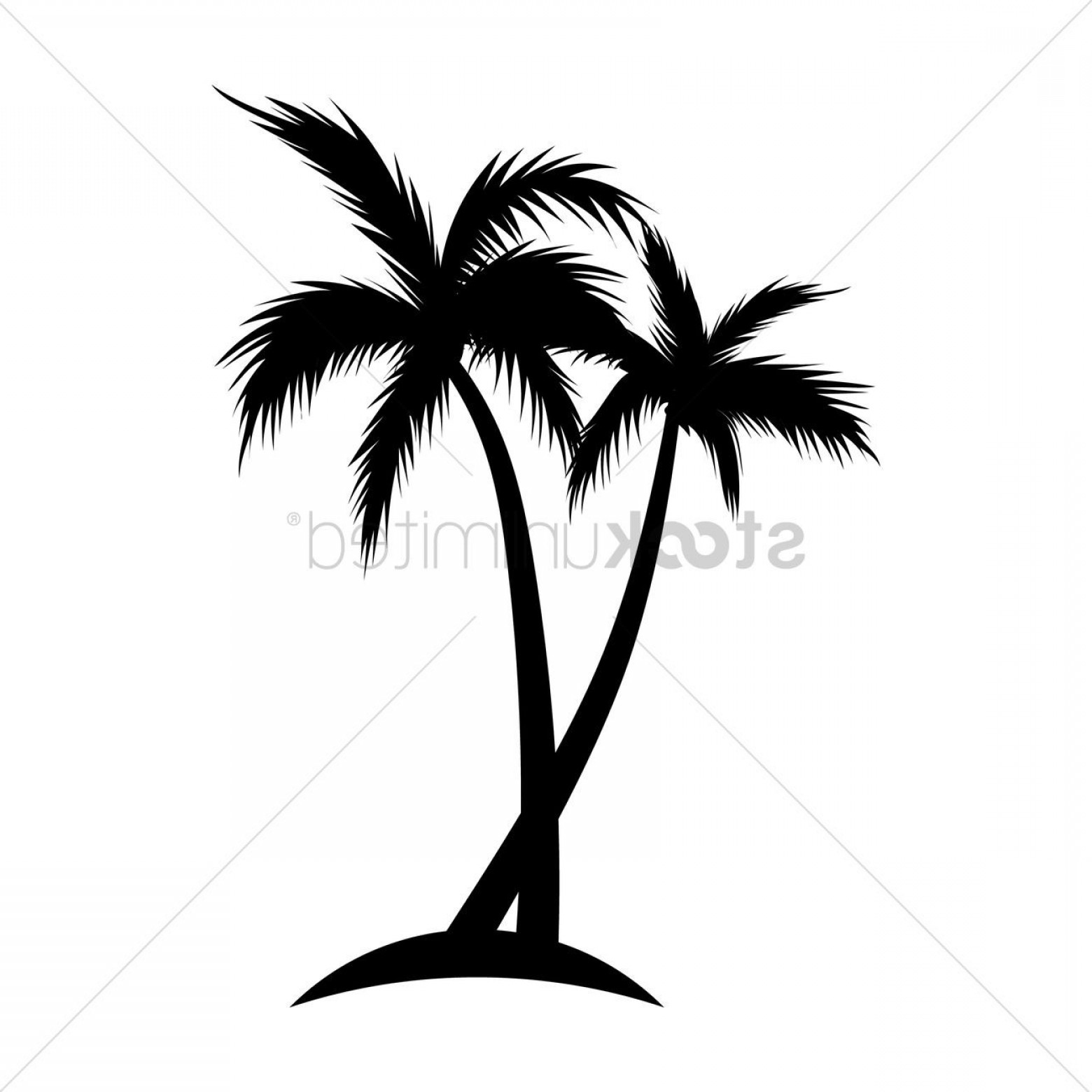 1560x1560 Ides Dimages De Coconut Tree Line Drawing Soidergi