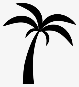 300x333 Palm Tree Png, Transparent Palm Tree Png Image Free Download