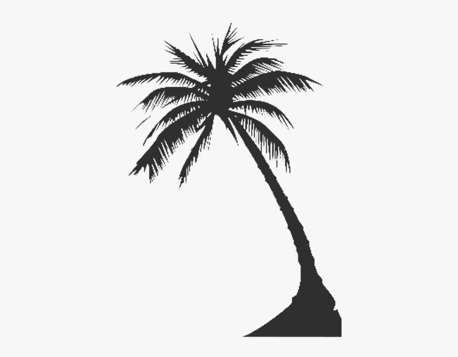 920x717 Palm Tree Png Silhouette
