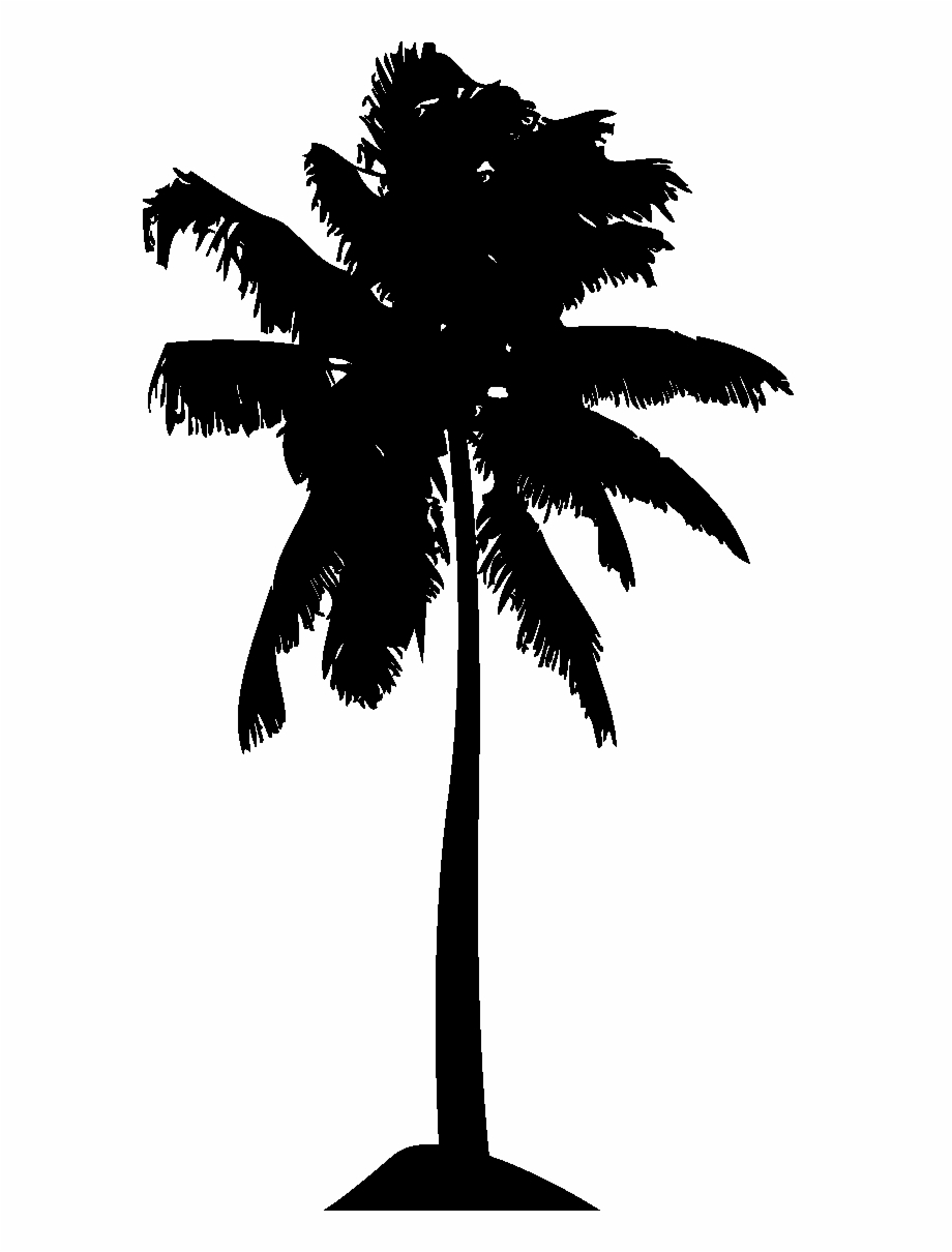 Palm Tree Png Vector at Vectorified.com | Collection of Palm Tree Png ...