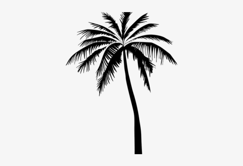 820x561 Palm Tree Silhouette