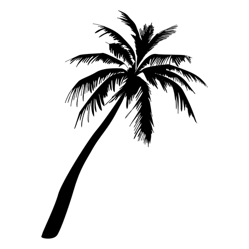 512x512 Palm Tree Illustration