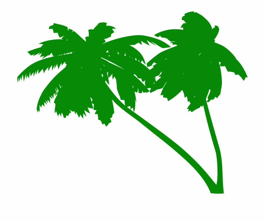 920x768 Palms Coconut Tree Coconut Palms Png Image