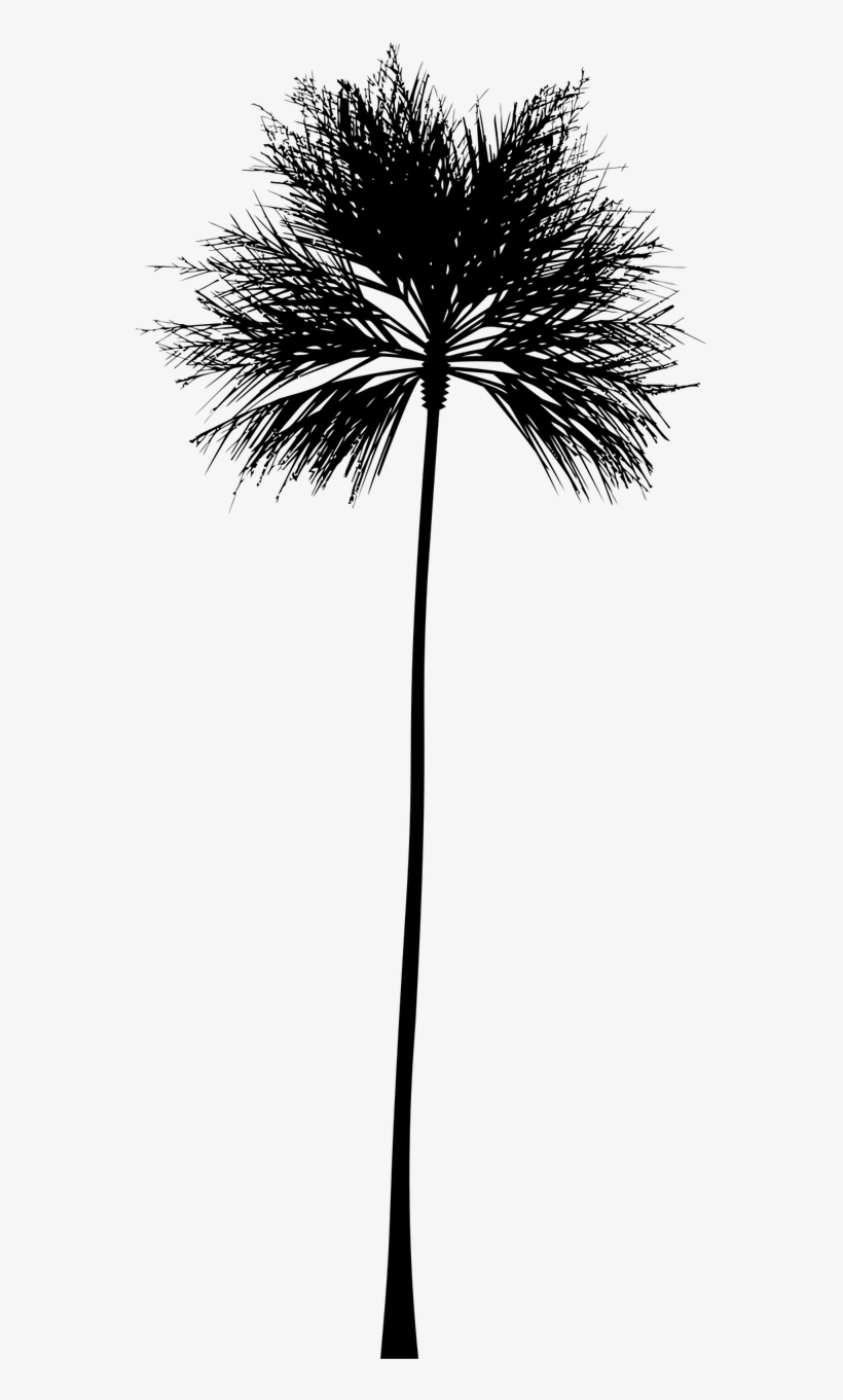 820x1361 Tropical Vector Black And White