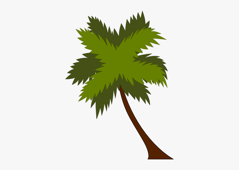 920x654 Coconut Palm Trees Branch Computer Icons