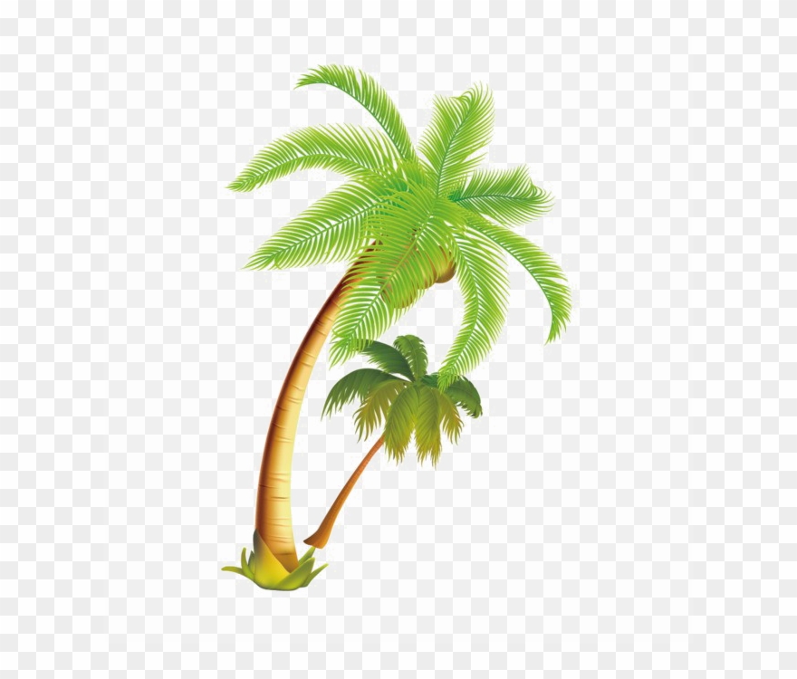 880x750 Coconut Tree Vector Png Clipart Palm Trees Coconut
