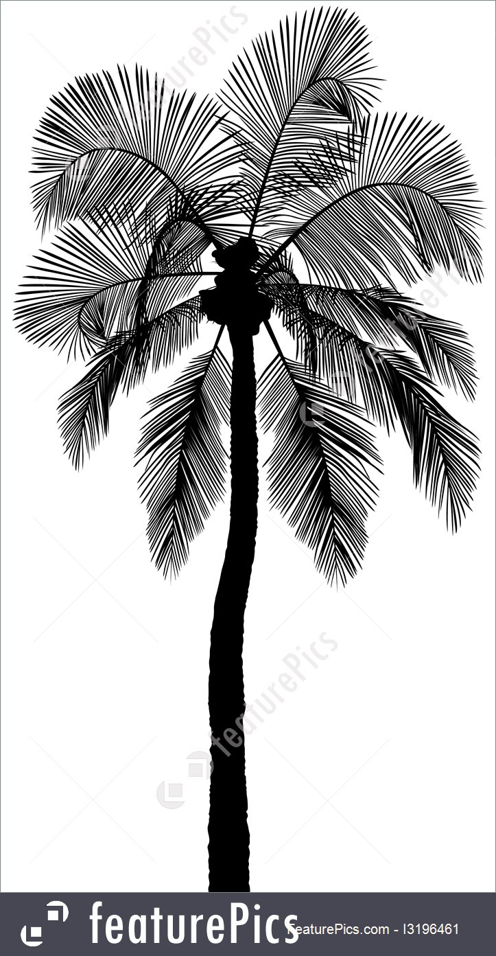 723x1392 Illustration Of Palm Tree Silhouette