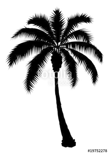 353x500 Palm Tree Silhouette Stock Image And Royalty Free Vector
