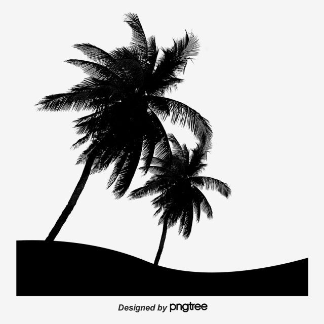 640x640 Coconut Tree Silhouette Png Images Vector And Free
