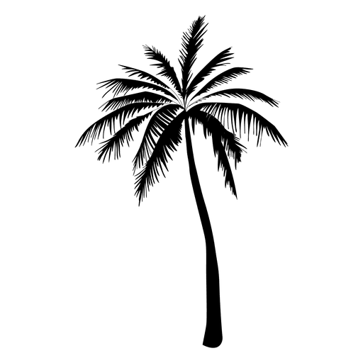 Palm Tree Silhouette Vector at Vectorified.com | Collection of Palm ...