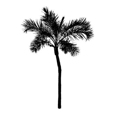 490x490 Palm Tree Silhouette On White Background