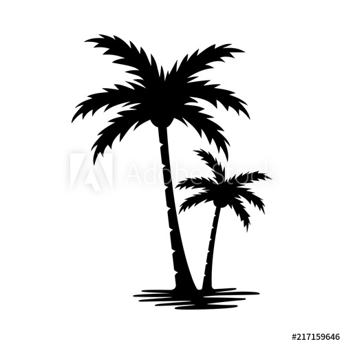 500x500 Palm Tree Silhouette Vector Image
