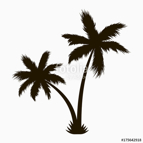 500x500 Palm Tree Silhouette Realistic Tropical Plant Vector