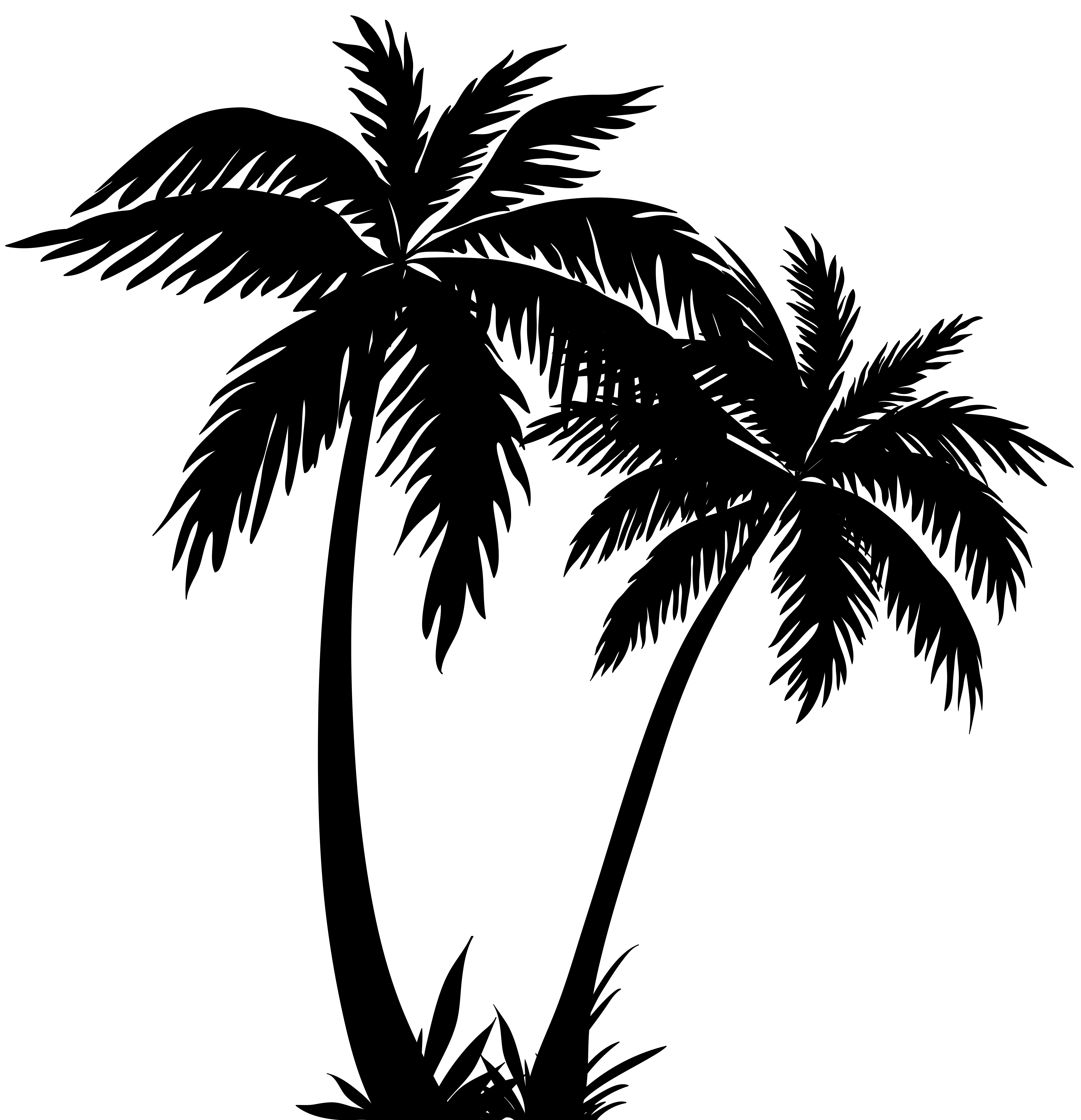 7720x8000 Palm Trees Silhouette Vector Clipart Images Gallery For Free