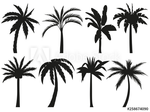 500x375 Palm Trees Silhouettes Tropical Leaves, Retro Palms Tree