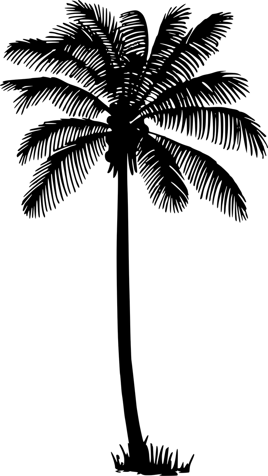 901x1600 Scg Plant Leaves, Palm Tree