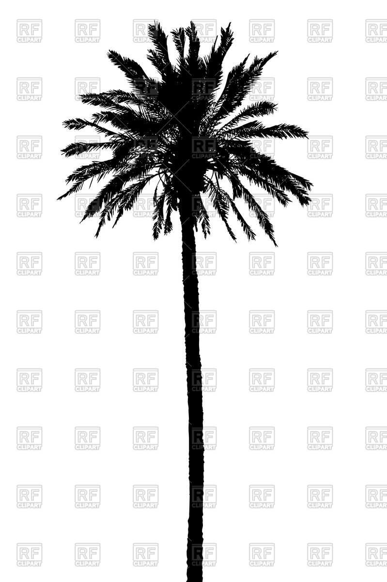 799x1200 Silhouette Of Palm Tree Vector Image Of Plants And Animals