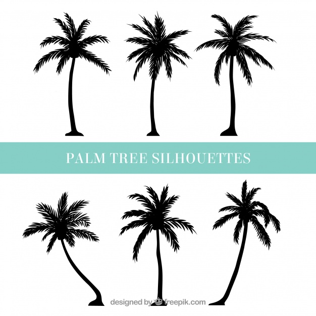 626x626 Silhouettes Of Palm Trees Vector Free Download