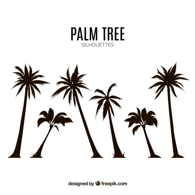 626x626 Silhouettes Set Of Palm Trees Free Vector Cardsorigamipaper