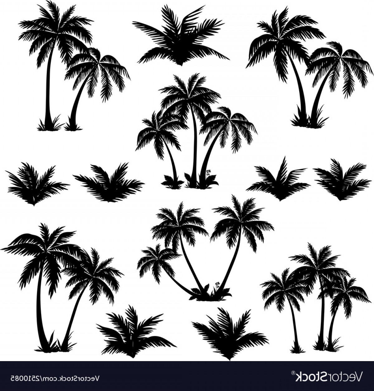 1200x1255 Tropical Palm Trees Set Silhouettes Vector Cqrecords