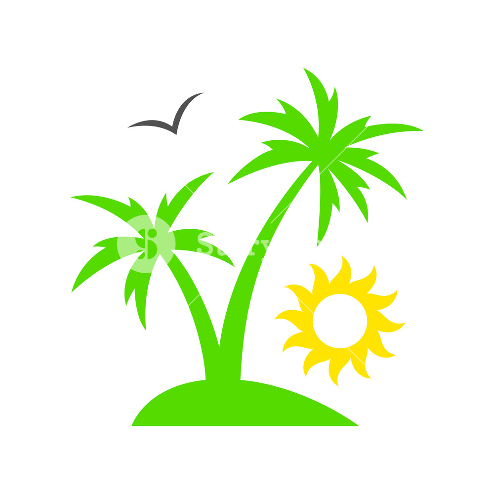 1000x1000 Tropical Palm Tree With Sun Summer Beach Sunset Palm Tree