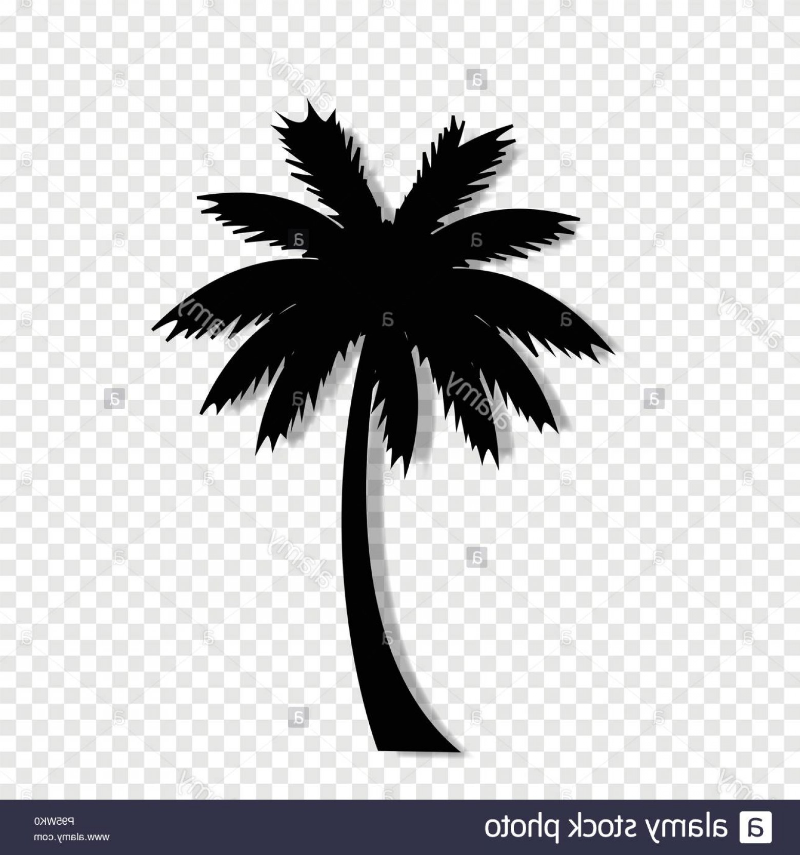 Palm Tree Silhouette Vector at Vectorified.com | Collection of Palm ...