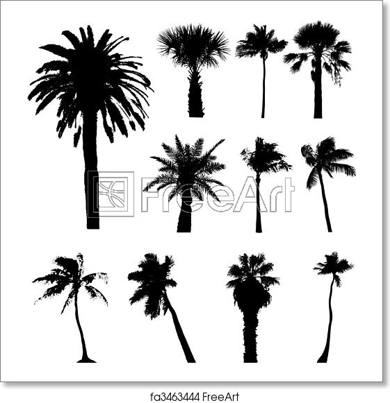 561x581 Free Art Print Of Collection Of Vector Palm Trees Silhouettes
