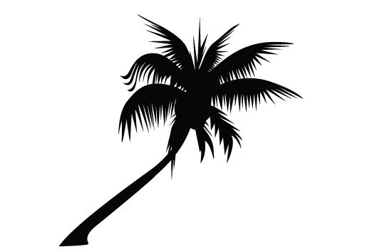 Free Palm Tree Silhouette 550x354 Free Palm Tree Silhouette