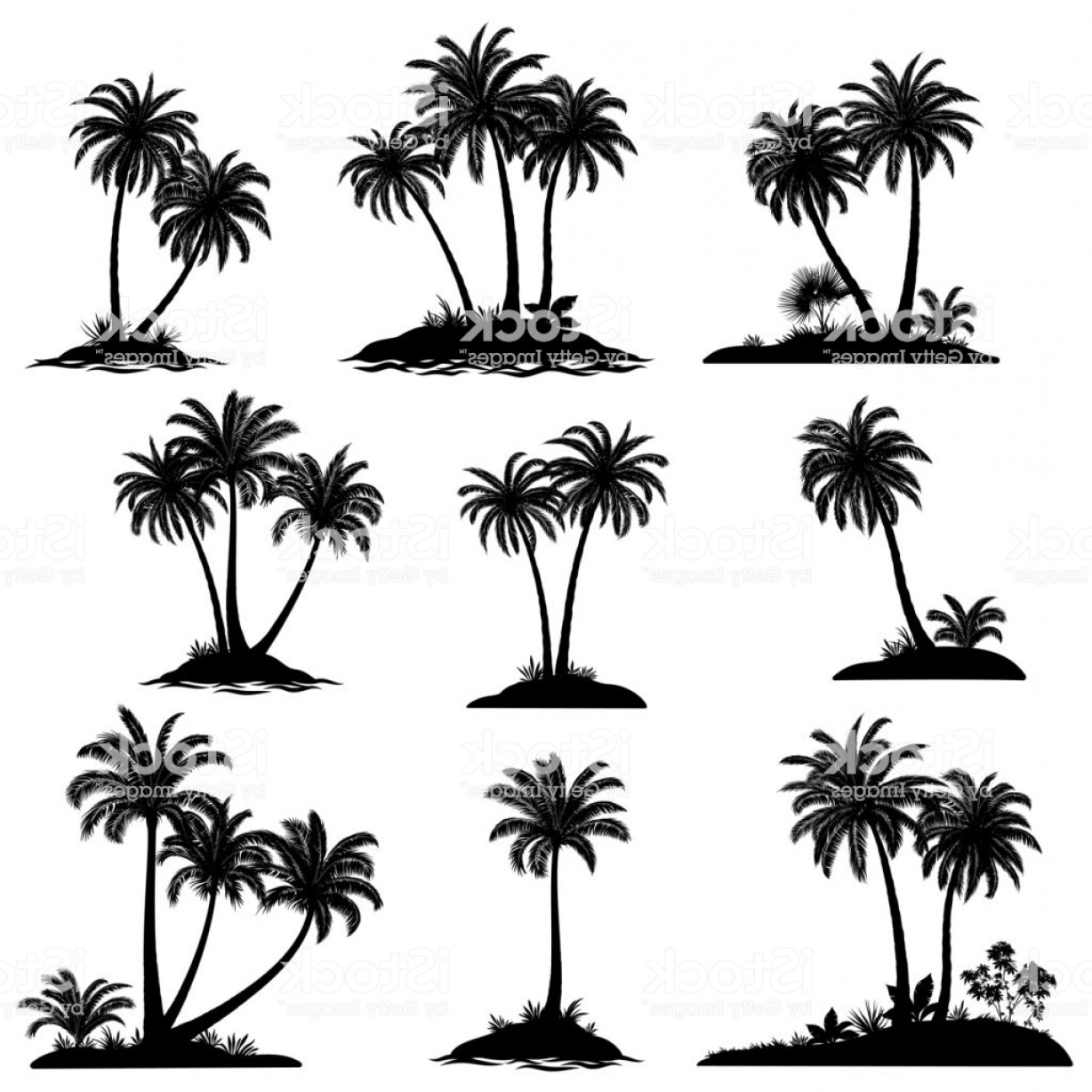 Palm Tree Silhouette Vector Free Catchsplace 1228x1228 Palm Tree Silhouette Vector Free Catchsplace