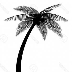Palm Tree Silhouette Vector Image Hoodamathrun 300x300 Palm Tree Silhouette Vector Image Hoodamathrun