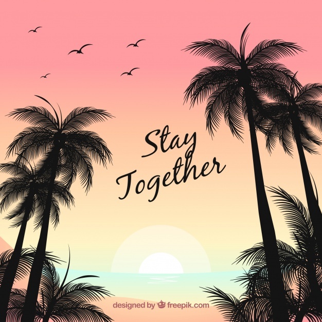 Palm Tree Vectors, Photos And Free Download 626x626 Palm Tree Vectors, Photos And Free Download