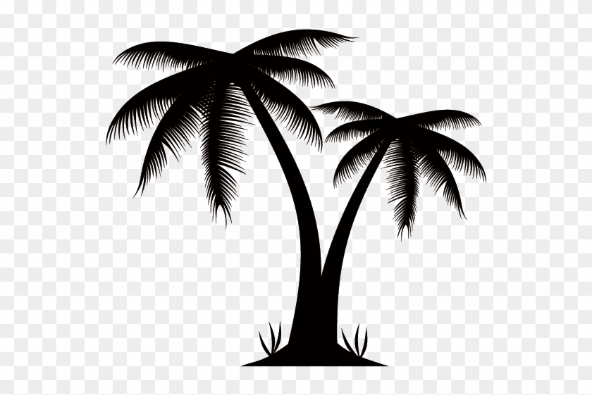 Arecaceae Euclidean Vector Stock Photography Clip Art 840x561 Arecaceae Euclidean Vector Stock Photography Clip Art